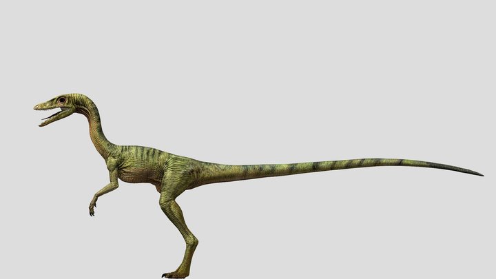 DracoWarrior's Compsognathus – Modello 3D gratuito STL