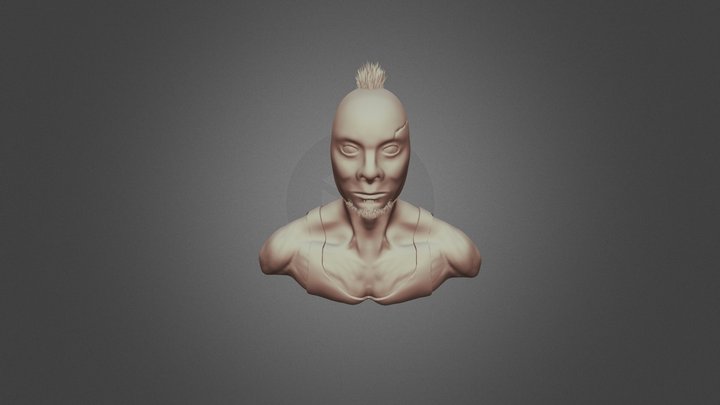 ZRemesher - Human Bust 3D Model