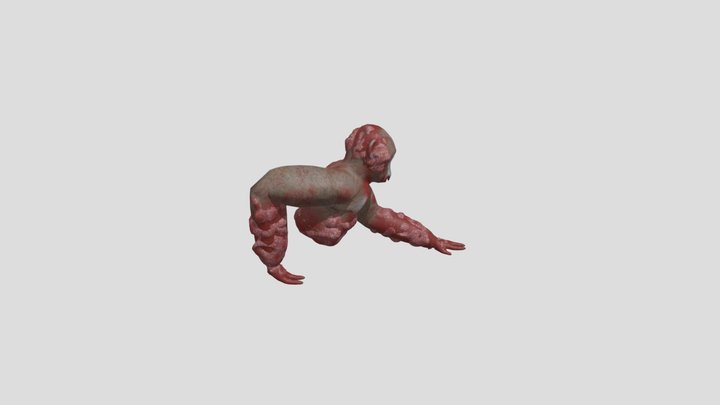 Flesher 3D Model