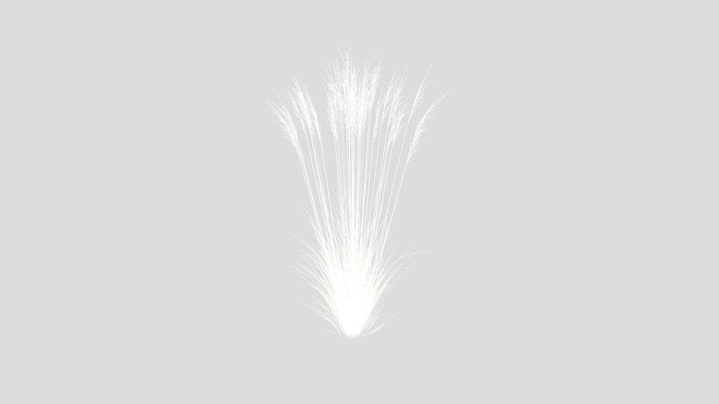 Grass Molinia Caerulea Heidebraut