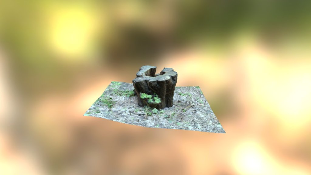 Tronc