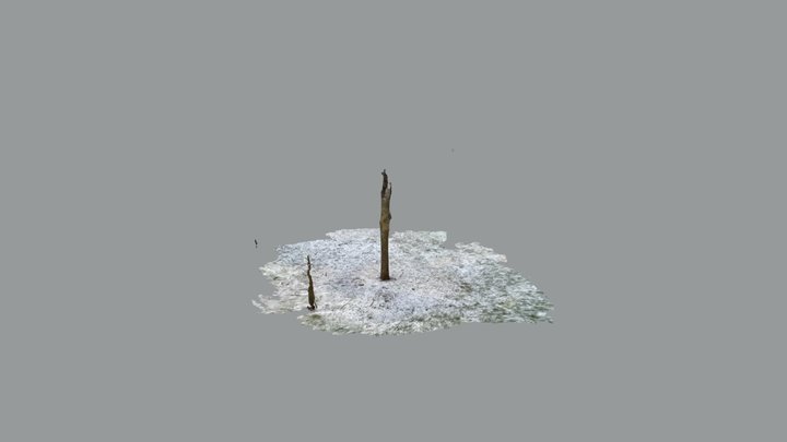 Lone tree in snow - feat. skole 3D Model
