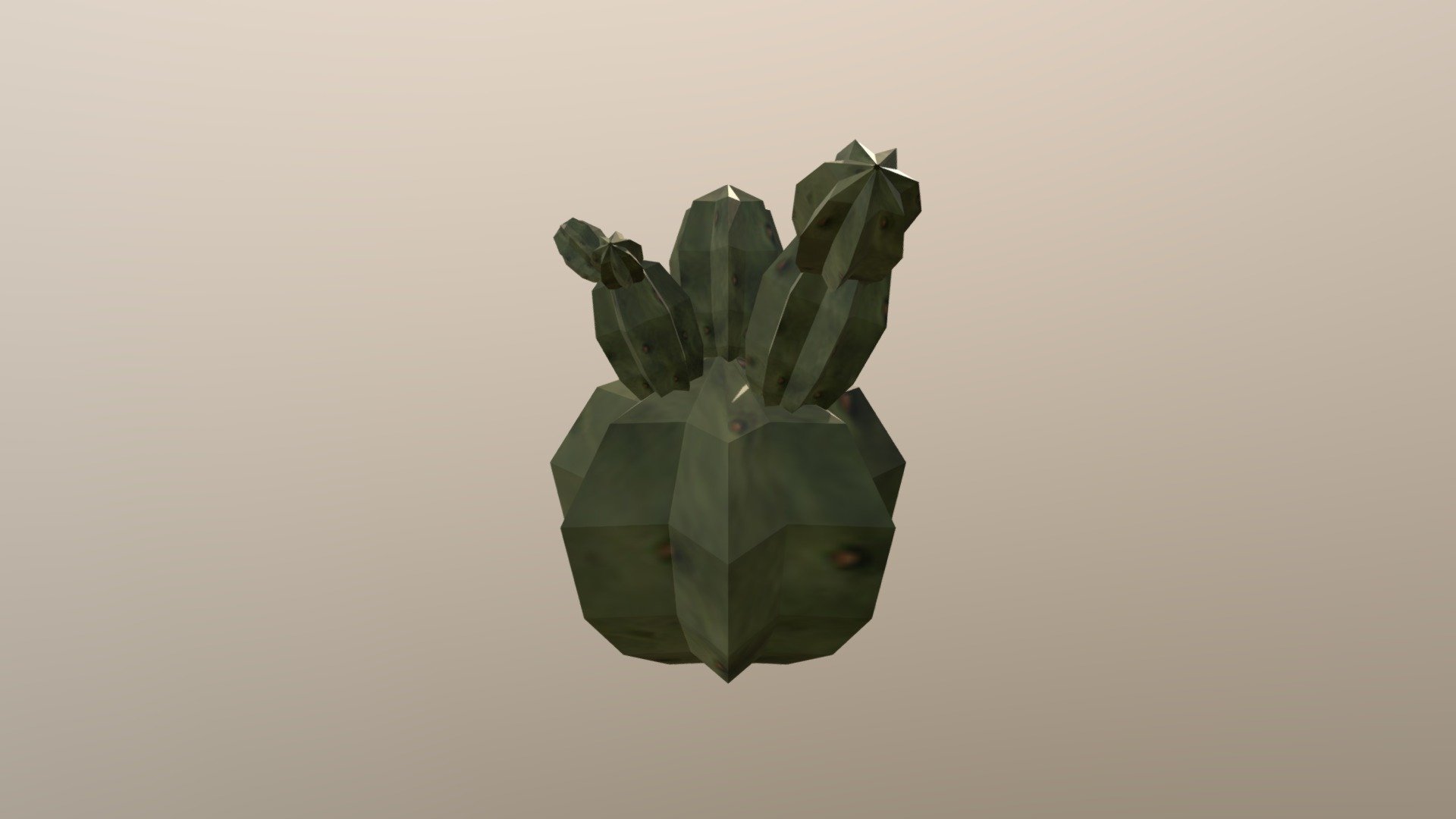 Cacto 3 - 3D model by Pedro.Goulart [fa2bb1b] - Sketchfab