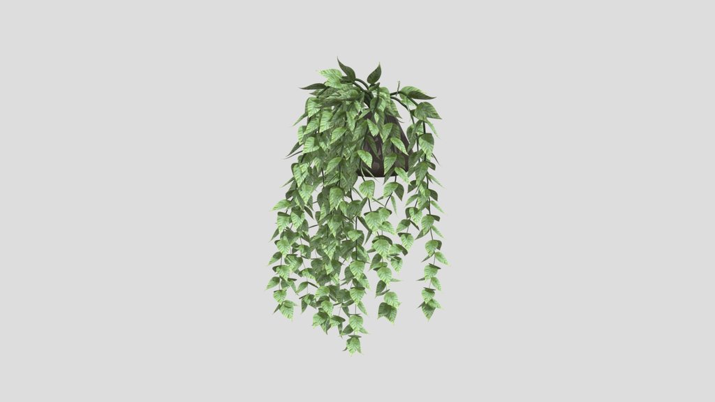 Cascading Green Ivy
