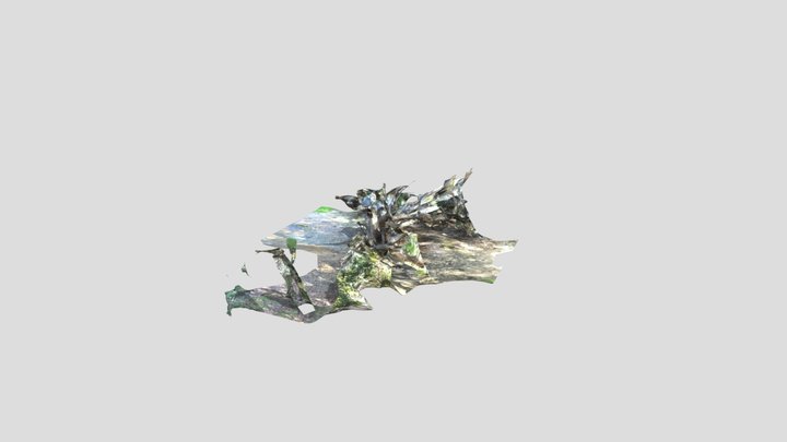 Treeswing 3D Model