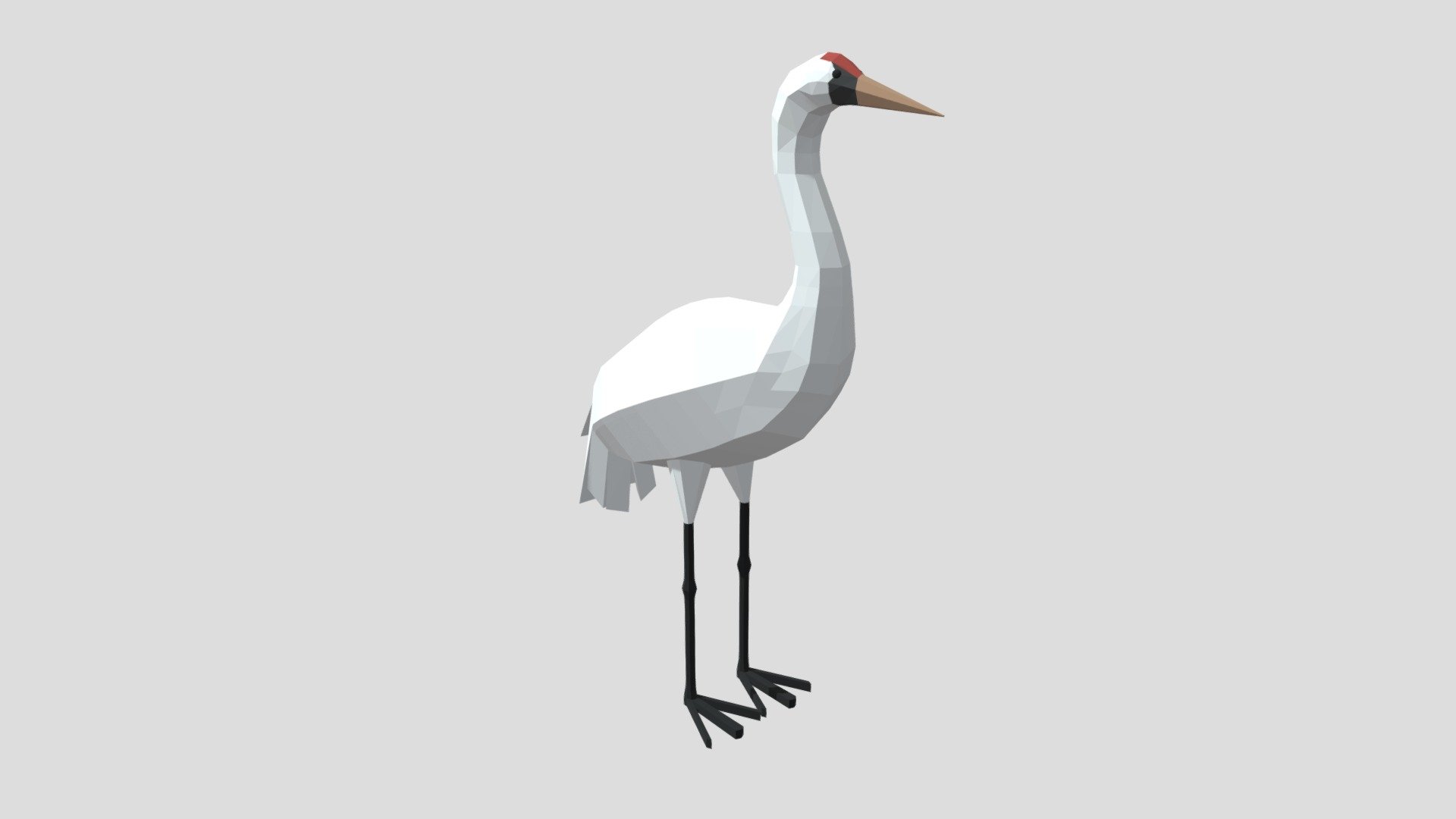 Whooping Crane
