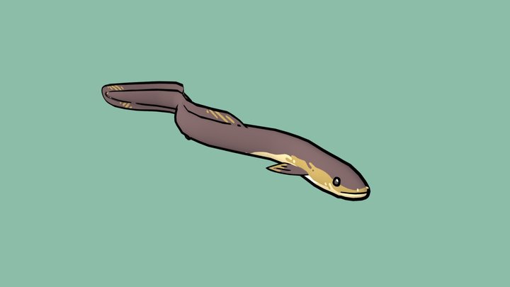 Cartoony eel (New Zealand longfin) 3D Model