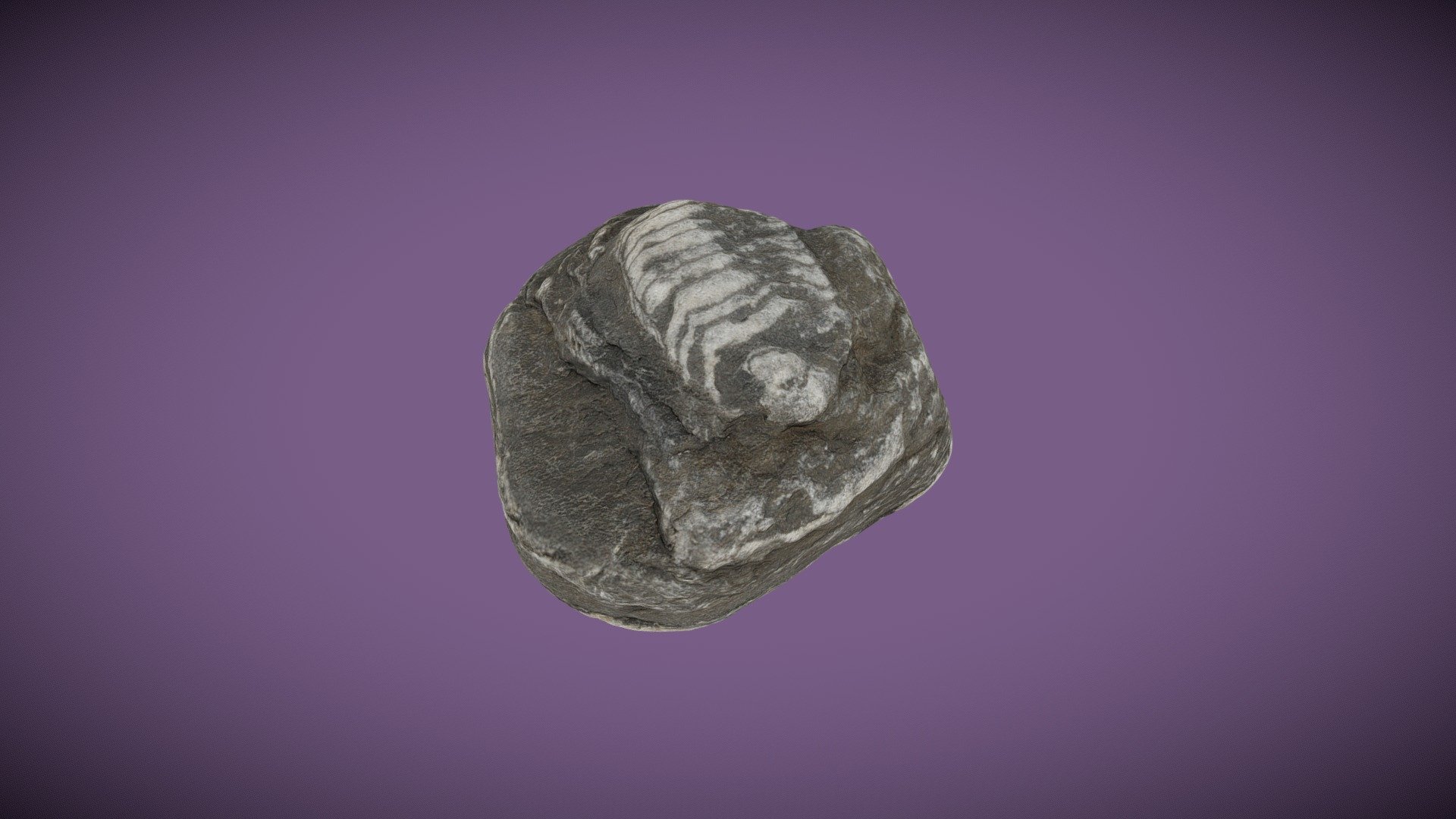 Non-Fossil - Download Free 3D model by Pontarc Phil (@pontarcphil ...
