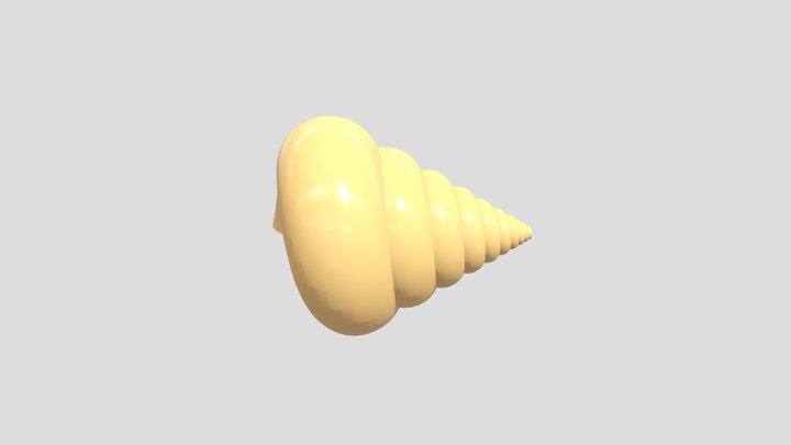 Seashell 3D Model