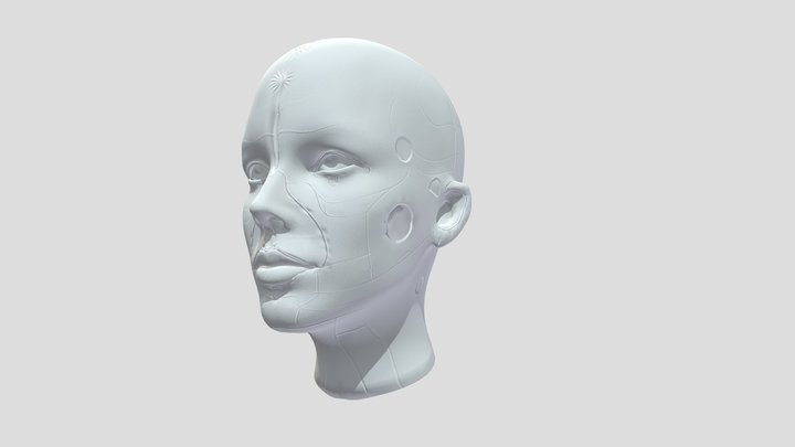 Female Head1 1 3D Model