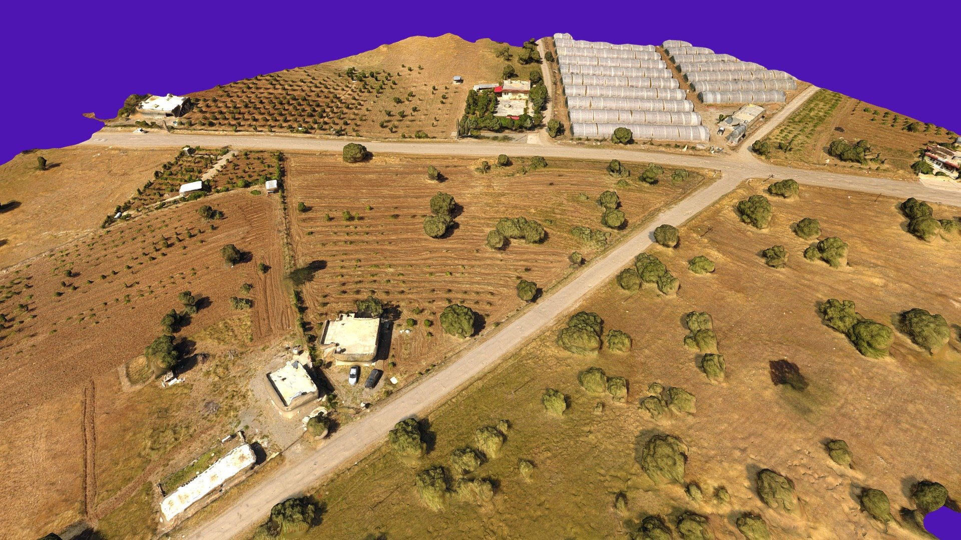 saman_simplified_3d_mesh