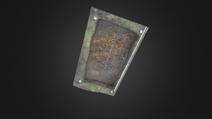 kohtla 3D Model