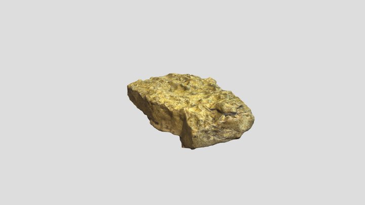 Limestone Fossiliferous 2 3D Model