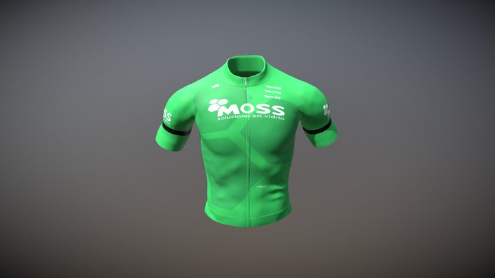 VE0101 3D Model