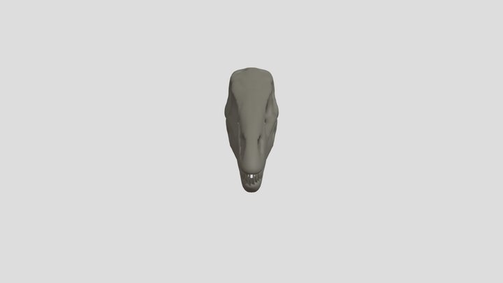coelophysis Skull 3D Model