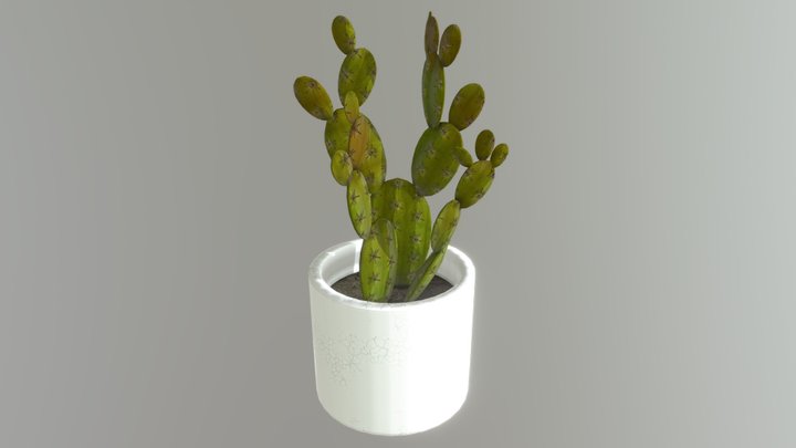 Prickly Pear in a Pot 3D Model