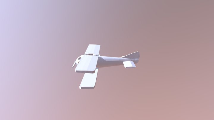 Plane 3D Model