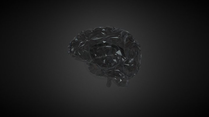Neural Networks of the Brain 3D Model