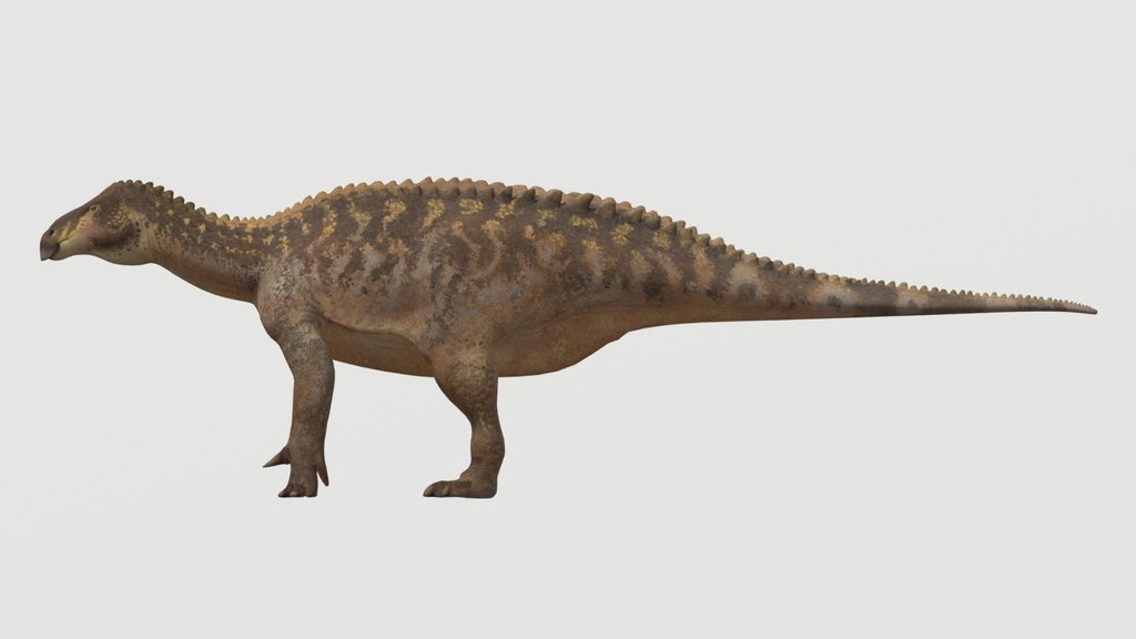 Accurate Iguanodon