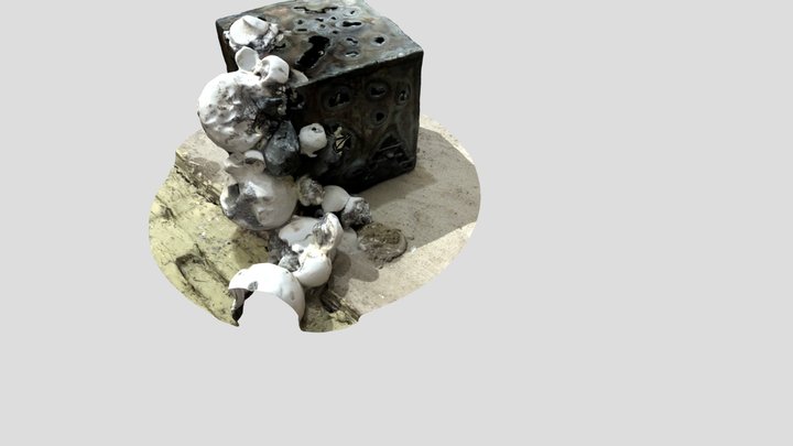 lynnk 3D Model