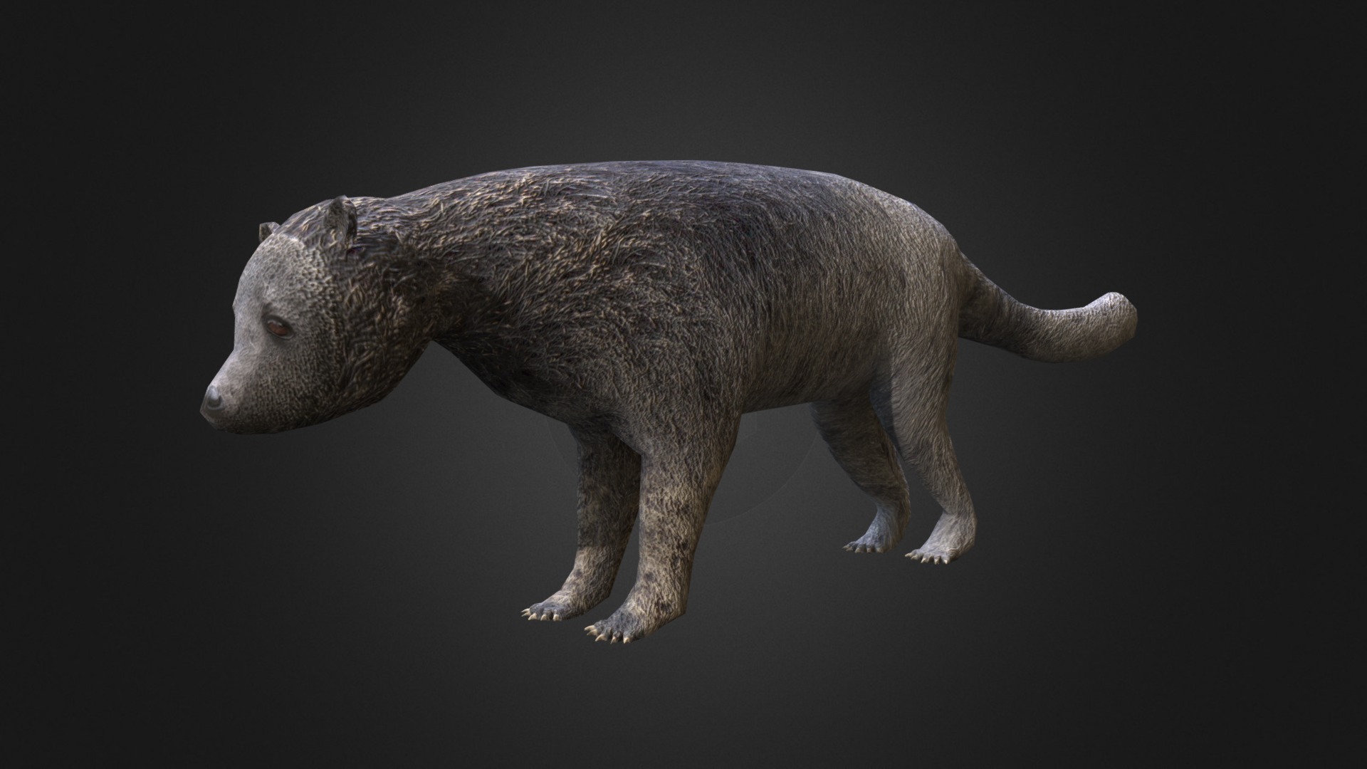 3D model Binturong - This is a 3D model of the Binturong. The 3D model is about a grey animal with a long tail.