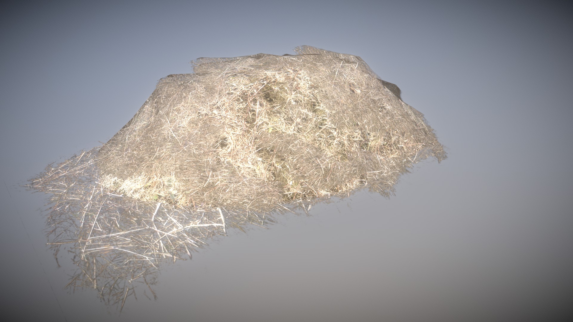 3D model Straw - This is a 3D model of the Straw. The 3D model is about a rock in the water.