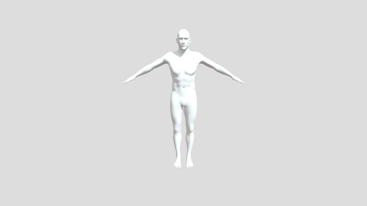 CC4_MSK Safety Correct Resting Posture 3D Model