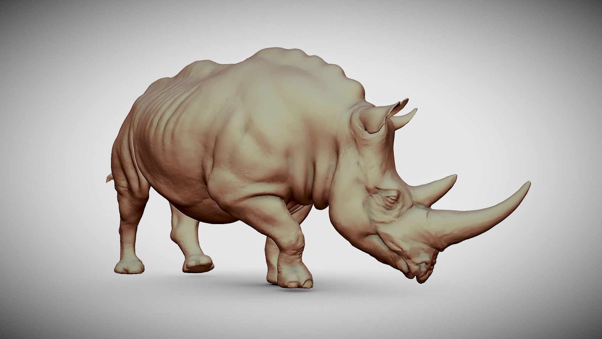 Rhino05 — Sketchfab embed 3D viewer