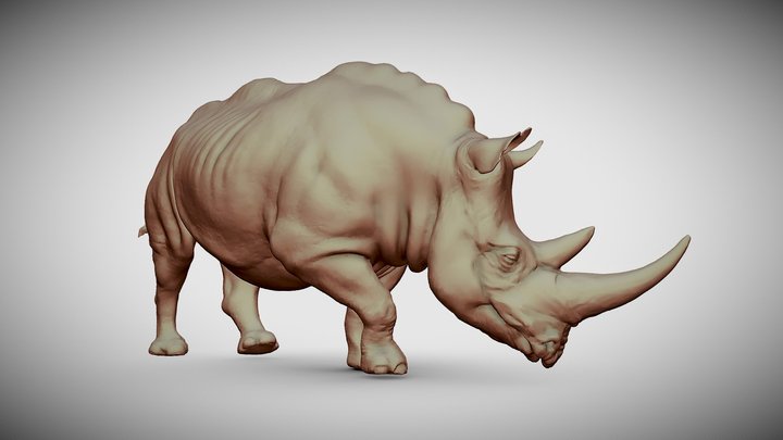 Rhino05 3D Model