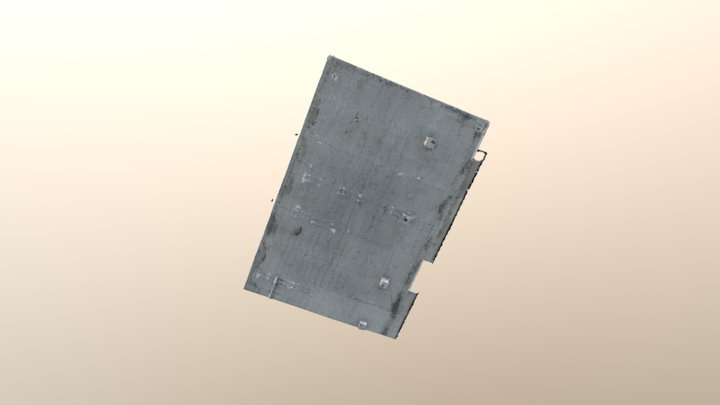 Cropped Simplified 2 3D Model
