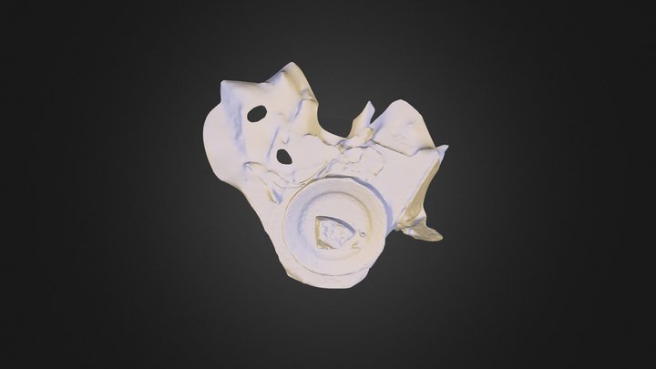 mesh 3D Model