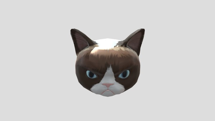 Grumpy cat 3D Model