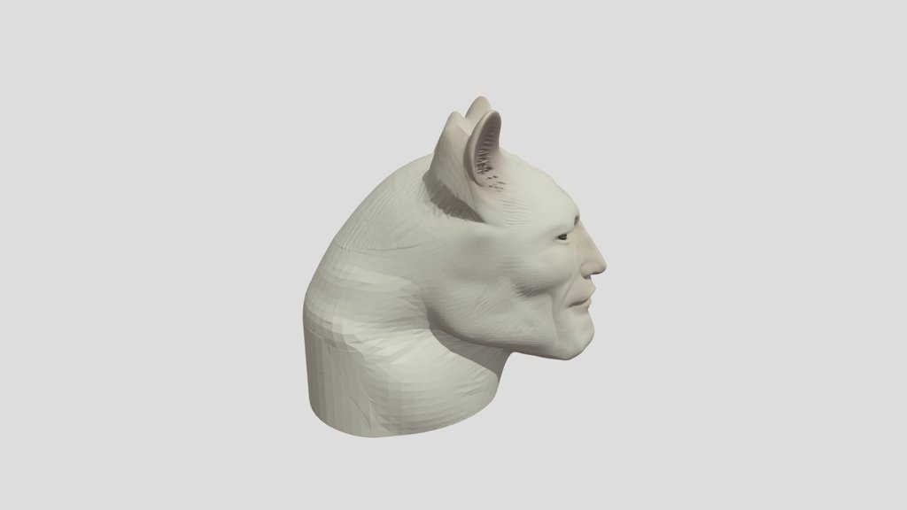 Sigma Cat Meme