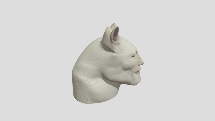 Sigma Cat Meme