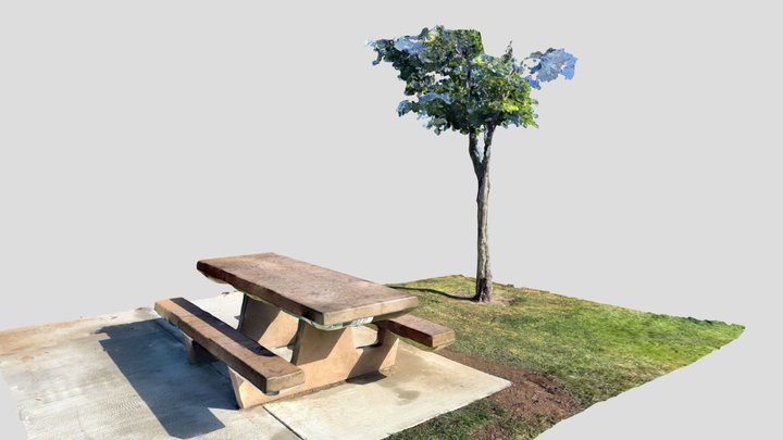 Picnic table and tree at park. 3D Model