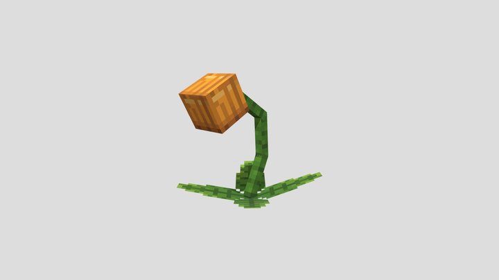 Pumpgrin 3D Model