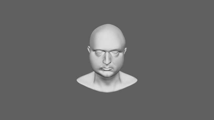 WIP Self Portrait Level 1 3D Model