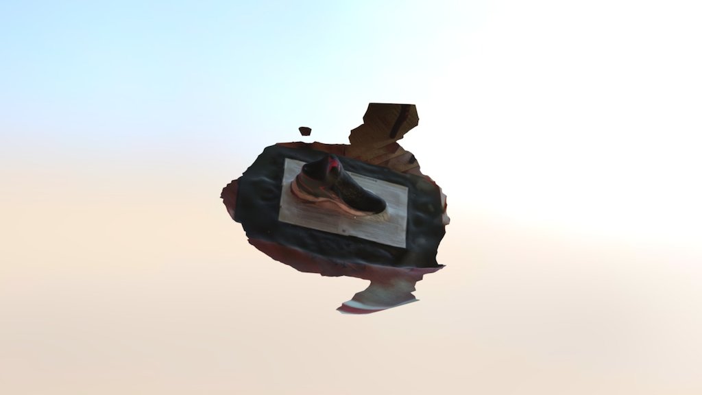 shoe3