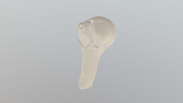 3-Part Fracture Animation 3D Model