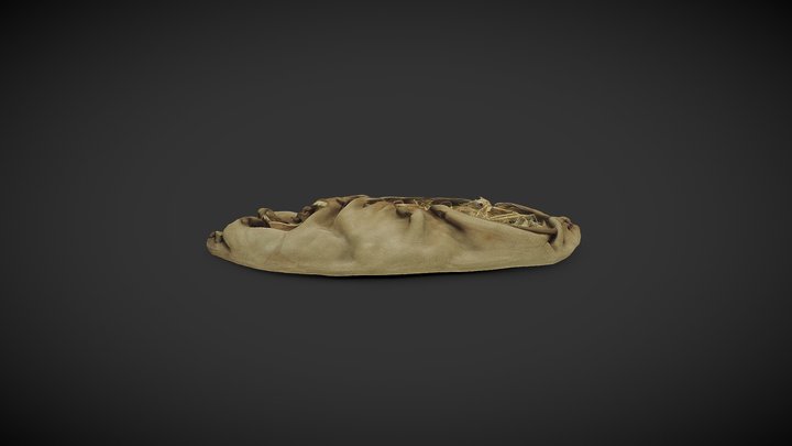 The 5,500 years old shoe 3D Model