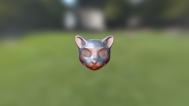 cat ? 3D Model