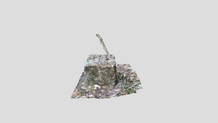 Forest Scan #1 3D Model