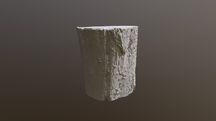 Tronco 3D Model