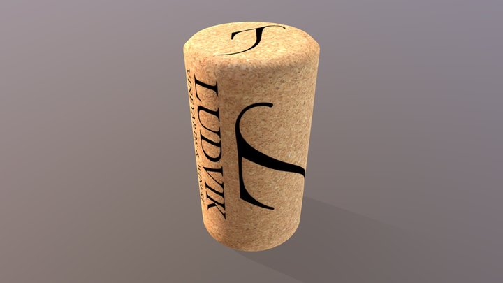 Ludvik-SK_FineCork_v2_3D 3D Model