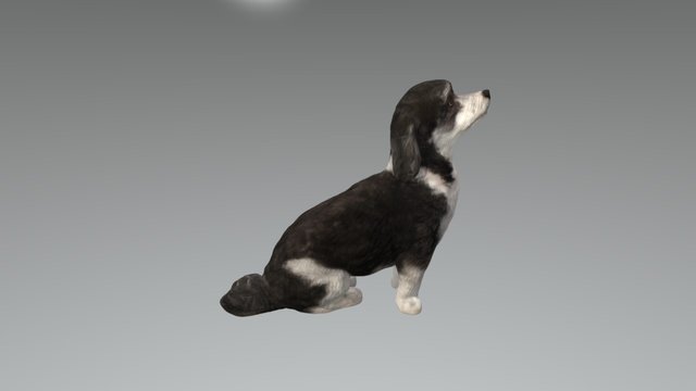 Finn Dog 3D Model