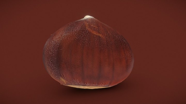 Small Chestnut