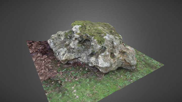 Mossy Rock 3D Model