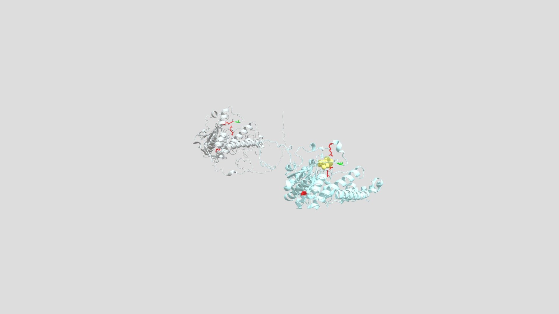 Comparing Human BCKD and Yeast PDH E1a Subunits - 3D model by alipmc ...