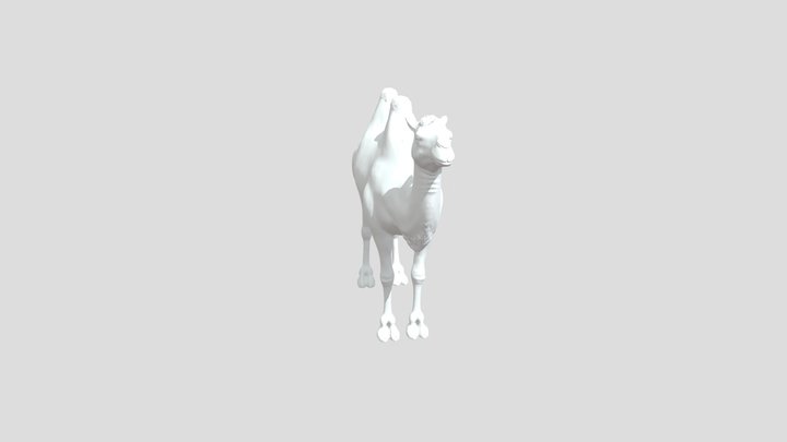 Camel for print 3D Model