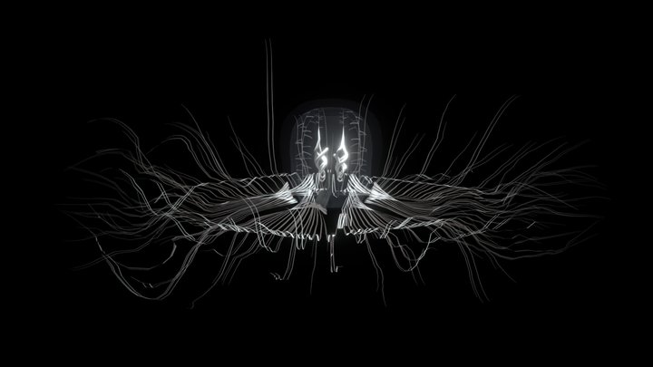 Hydrozoan Jellyfish (Anthomedusae) – Modello 3D gratuito STL